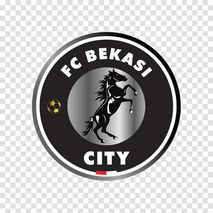Bekasi City FC Logo